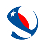 Copa Chile logo