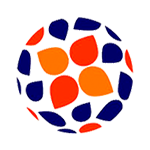 Campeonato Nacional Feminino logo