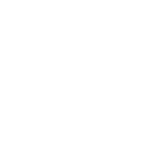Primera División, Clausura logo