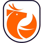 Liga de Primera logo