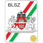 BLSZ I. osztály logo