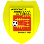 Liga 4 Arad logo