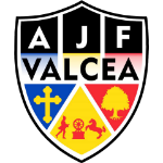 Liga 4 Vâlcea logo