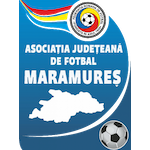 Liga 4 Maramureș logo