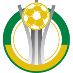 Piauiense, Série B logo