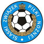 V. Liga - Śląska logo