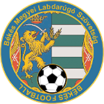 Békés Vármegyei U19 logo