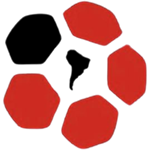 U17 Torneo Internacional Canteras de América logo