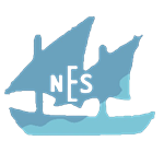 NES Pro League logo