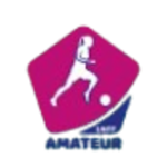 Division 3 Féminine logo