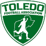 TFA 1st Division logo