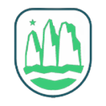 Copa de la Liga logo