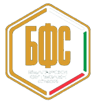 U9 Ivan Slavkov Cup logo