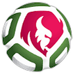 Belarusian Women's Football Cup logo