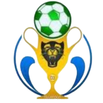 Montée en National Foot 2 logo