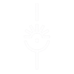 Torneio de Verão Póvoa de Varzim logo