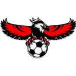 Fraser Valley Soccer League Championship - A logo